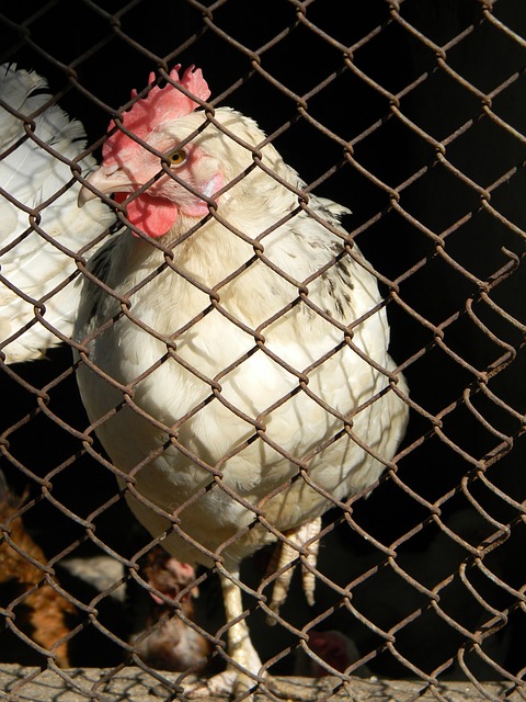 国足集训名单公布，两名新人首次入选引关注